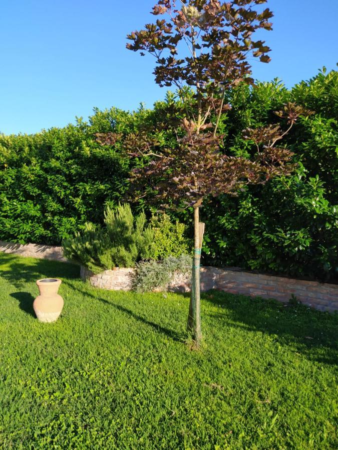 Soggiorno In Relax Correggioverde Екстериор снимка