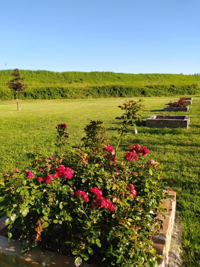 Soggiorno In Relax Correggioverde Екстериор снимка